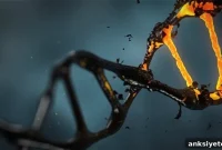 New Biomarkers Predict Severe Multiple Sclerosis
