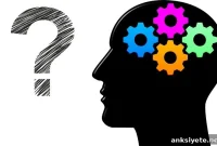 Researchers Unveil Tool to Measure Personal Wisdom