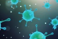 How to Reduce Autoimmune Risk After Viral Infections