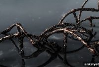 Twin Study Links Nearly 80 Percent of Schizophrenia to Genes