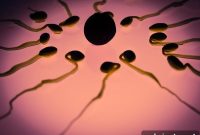 Could Sleep Duration Affect Sperm DNA Integrity?