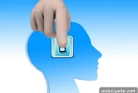 Brain Shifts Modes in Seconds When Switching Tasks