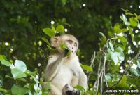 New Brain Region Found That Drives Behavior Change