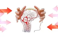 Brain Imaging Reveals ADHD Has Distinct Subtypes