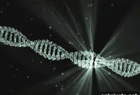 New Gene Discovery Explains How Lithium Affects Bipolar Disorder