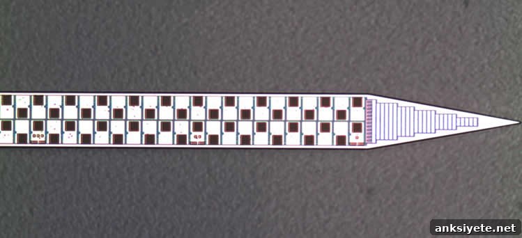 featured 44770