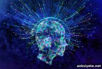 What Drives the Human Mind If Not Consciousness