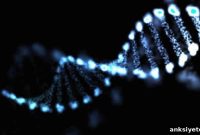 Genetic Mutations Fuel Vicious Cycle in Common ALS