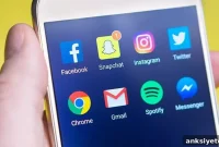 How Social Networking Boosts Mental and Physical Well-Being