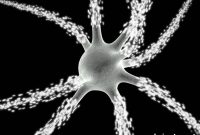 Decoding Brain Data with WWII Enigma Codebreaking Techniques
