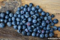 Blueberry Vinegar Restores Memory in Amnesic Mice