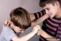 How Genetics and Environment Drive Childhood Aggression