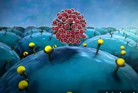 AI Maps Immune Cell Receptors for Drug Target Discovery