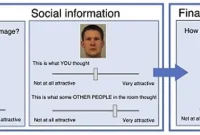 Mate Choice Copying in Humans: Are Taken Men More Attractive?