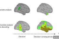 BA or DA: How Syllable Tests Reveal AI Limits