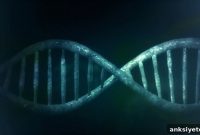 Scientists Unlock Memory Formation in Aging and Injured Brains