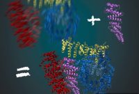 Huntingtin Protein Structure Decoded