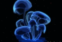 Why Are Some Mushrooms Called Magic (Psychedelic)?