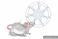 Brain Network Activity Predicts Risk of Depression