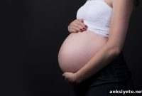 Low-Level BPA Exposure During Pregnancy Disrupts Fetal Brain