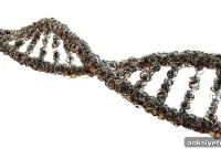 Hidden Genetic Mutation Discovered Behind Severe Infant Epilepsy