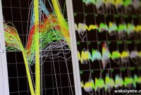 Monkeys’ Brains Synchronize During Joint Motor Tasks
