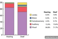 How Deafness Rewires Brain Outputs in Cats