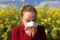 Asthma and Hay Fever Linked to Higher Mental Health Risks