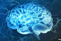 How the Brain Makes Decisions: Neural Mechanisms Explained