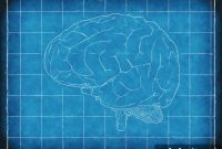 How OCD Alters Emotion Processing Compared to Siblings
