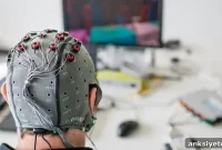 How Humans and AI Learn Together to Win Competitions