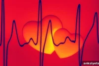 Vascular Risk Amplifies Amyloid-Linked Cognitive Decline in Aging