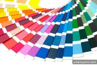 How Language Shapes Color Perception