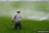 New Study Links Pesticide Exposure to Parkinson’s Disease
