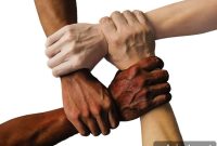 What Neuroscience Reveals About Prosocial Behavior