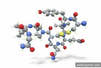 Oxytocin and Vasopressin Flatten Hierarchies and Sync Behaviors