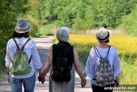 Hormone Therapy Tied to Improved Memory and Cognition