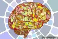 Protein Off Switch Controls Memory
