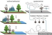 How Brain Ripples During Sleep Lock in Memories