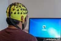 Decoding Risk-Taking in the Brain