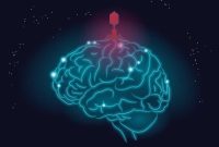 Herpes Virus Linked to Alzheimer’s Disease Risk