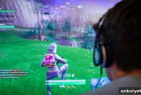 Fortnite and Gaming Addiction: WHO Warns, Experts Push Back