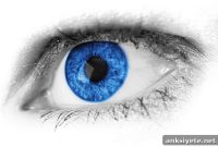 Eyes as a Window to Alzheimer’s and Neurodegenerative Diseases