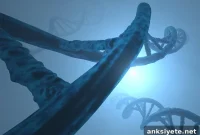 Genetics and Alzheimer’s Risk: What Research Shows