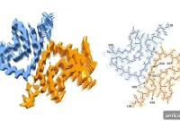 New Study Challenges Leading Theory of Parkinson’s Disease