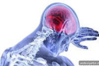 New Study Finds Vitamin D Does Not Prevent Dementia or MS