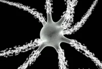 Neuromorphic Computers Built to Mimic the Human Brain