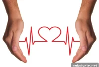 New Study Reveals How Parkinson’s Disease Damages the Heart