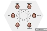 How Preconceived Beliefs Shape Perception of Others’ Emotions