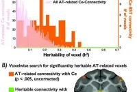 How Much of Anxiety Is Genetic? Research Explained